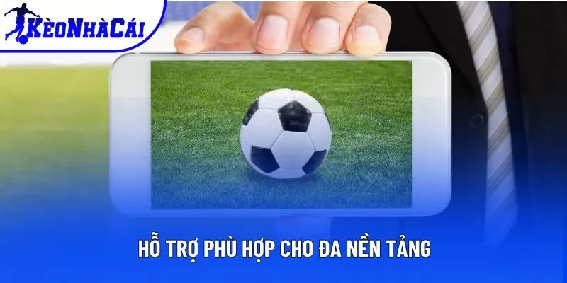 Hỗ trợ phù hợp cho đa nền tảng