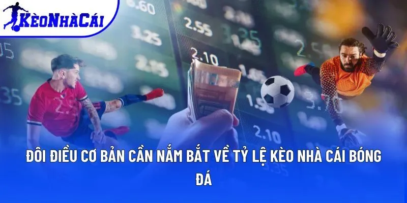 Đôi điều cơ bản cần nắm bắt về tỷ lệ kèo nhà cái bóng đá